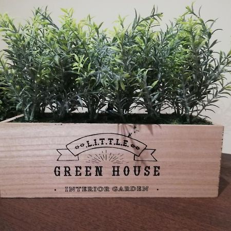 Green House Aveiro Exterior photo