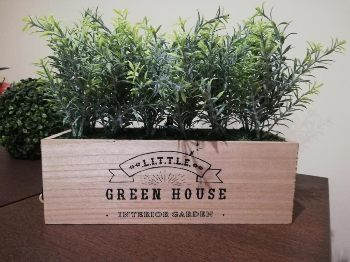 Green House Aveiro Exterior photo
